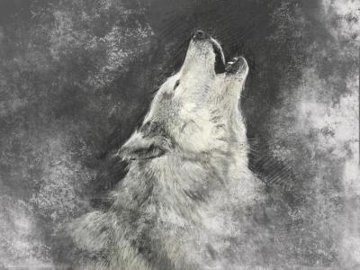 Fototapete Weißer heulender Wolf