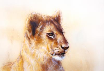 Poster Silhouette einer sitzenden Löwin