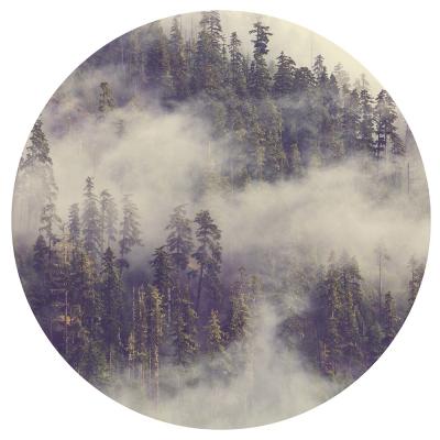 Sticker Runde Aufnahme eines hohen Waldes im Nebel