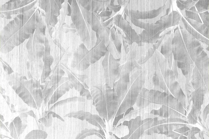 Fototapete Tropische Bananenbäume in Grautönen