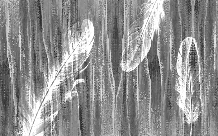 Fototapete Federn auf einem grauen strukturierten Hintergrund