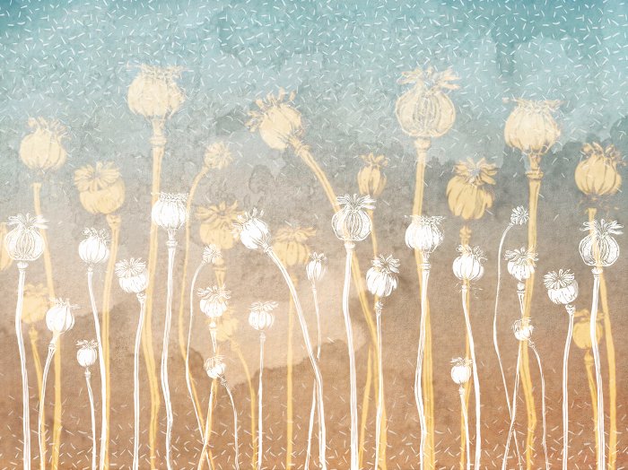 Fototapete Wildblumen auf einem konkreten Ombre-Hintergrund