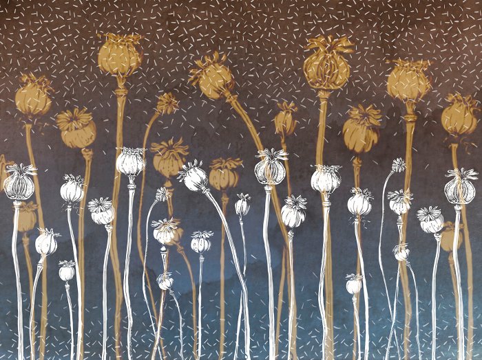 Fototapete Wildblumen auf dunklem Betongrund