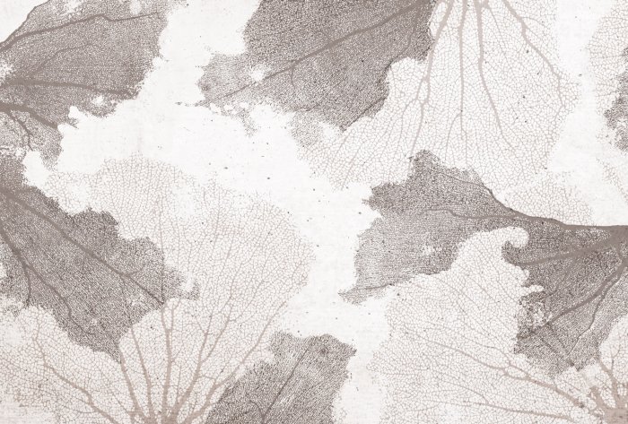 Fototapete Beige Korallen auf strukturiertem Hintergrund