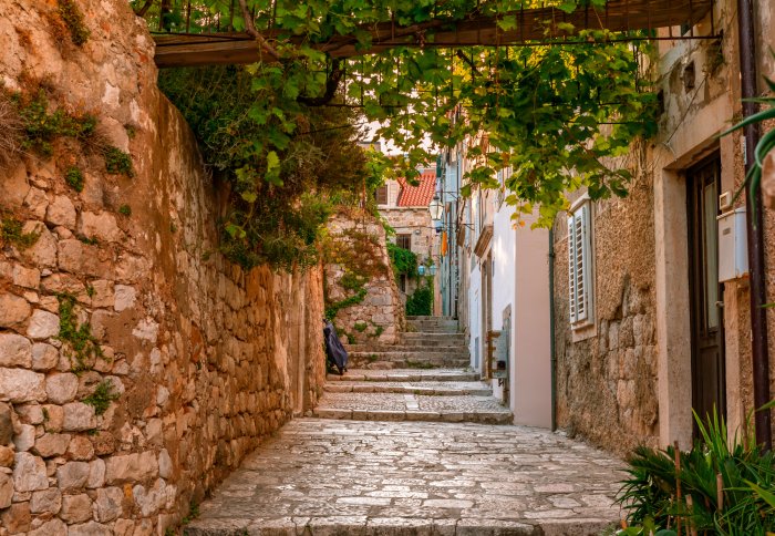 Fototapete Architektur auf einer Steinstraße mit grünen Pflanzen
