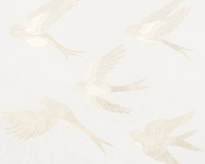 Fototapete Schwalben auf einem leicht strukturierten Hintergrund