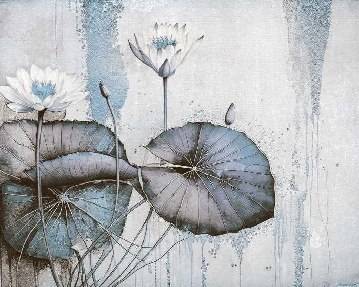 Fototapete Seerosen und Blätter auf einem konkreten Hintergrund