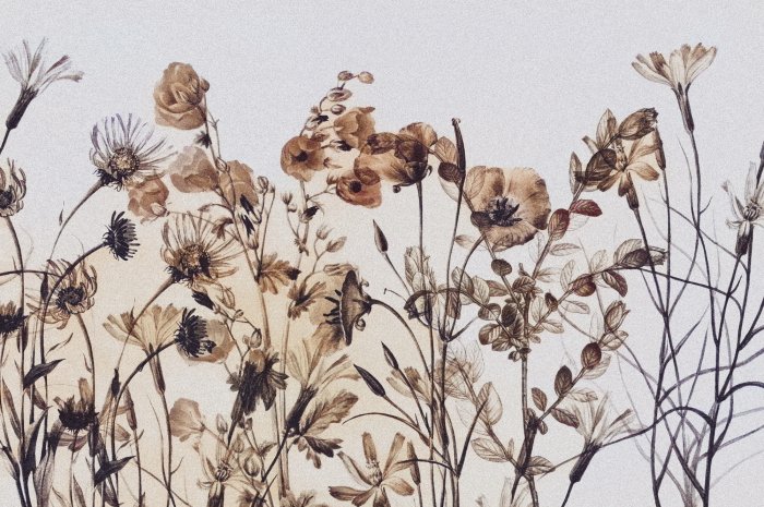 Fototapete Wildblumen botanisches Muster mit zarter Textur