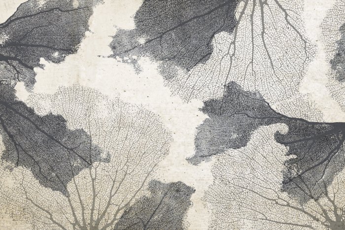 Fototapete Graue Korallen auf einem Untergrund in Betonoptik