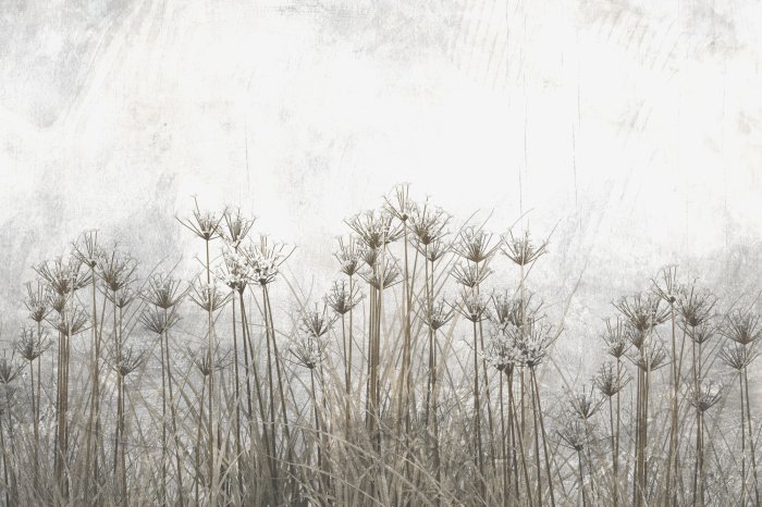 Fototapete Wildpflanzen auf grauem Hintergrund