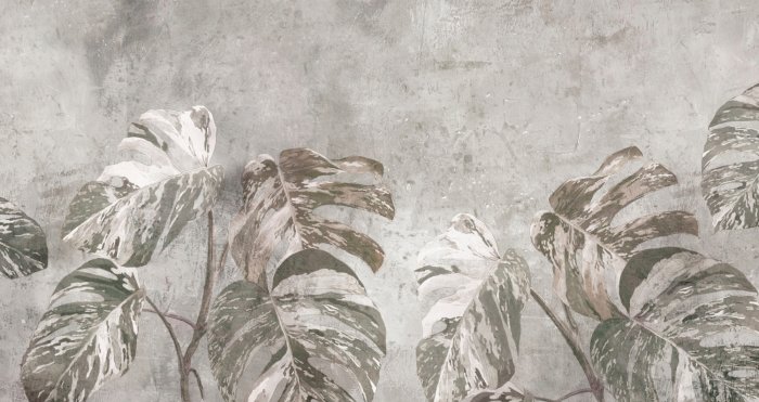 Fototapete Große Monstera-Blätter auf Beton, botanisches Muster