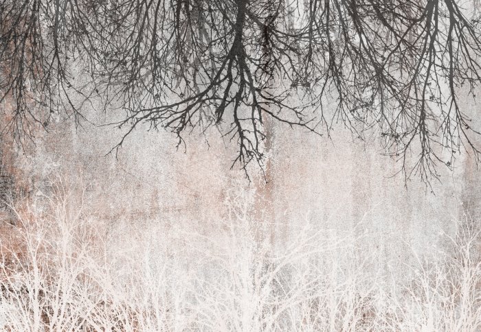 Fototapete Schwarze Äste im Vintage-Motiv