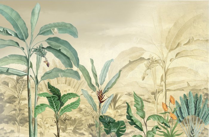 Fototapete Tropische Bäume und Blätter in einem nebligen Wald