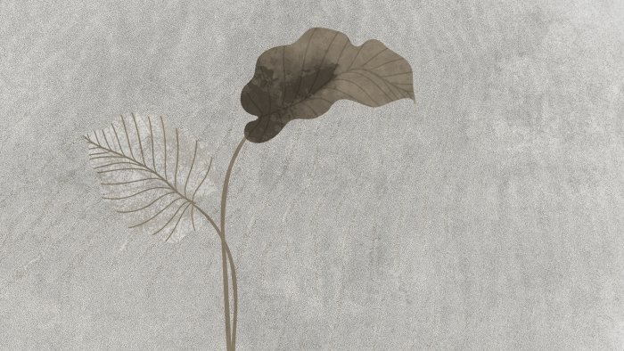 Fototapete Minimalistisches Blattmuster auf grauem Betonhintergrund