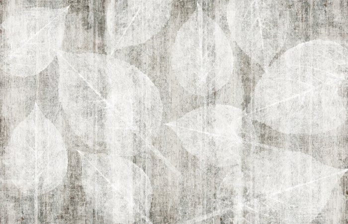 Fototapete Weiße Blätter auf strukturiertem Hintergrund
