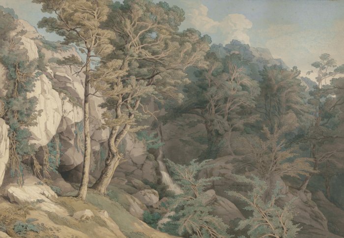 Fototapete Bäume und Pflanzen zwischen den Felsen, natürliche Landschaft