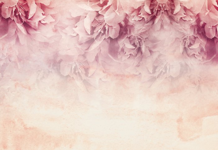 Fototapete Rosa Pfingstrosenblüten auf strukturiertem Hintergrund mit Aquarelleffekt