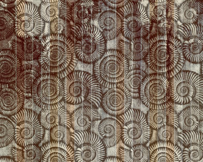 Fototapete Muschelmuster mit strukturiertem Hintergrund