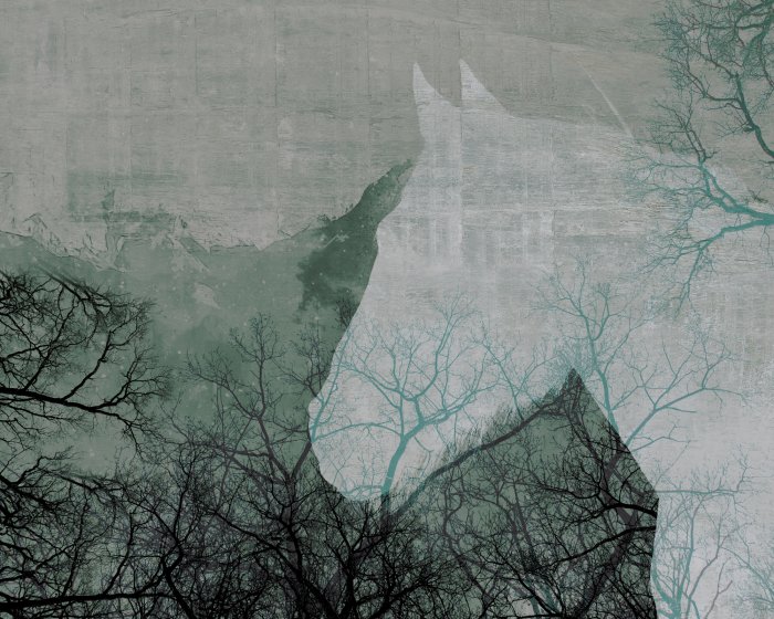 Fototapete Abstraktes Porträt eines Pferdes zwischen Bäumen