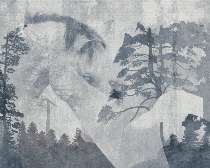 Fototapete Pferde vor einer Waldlandschaft, abstraktes Porträt