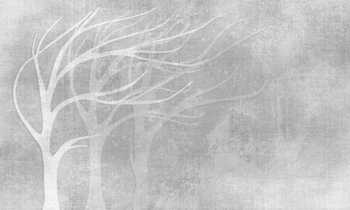 Fototapete Baumsilhouetten auf einer Betonstruktur