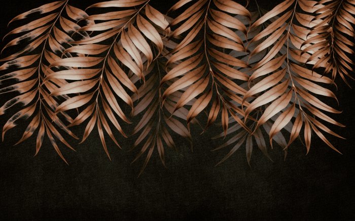 Fototapete Herbstblätter auf schwarzem Hintergrund