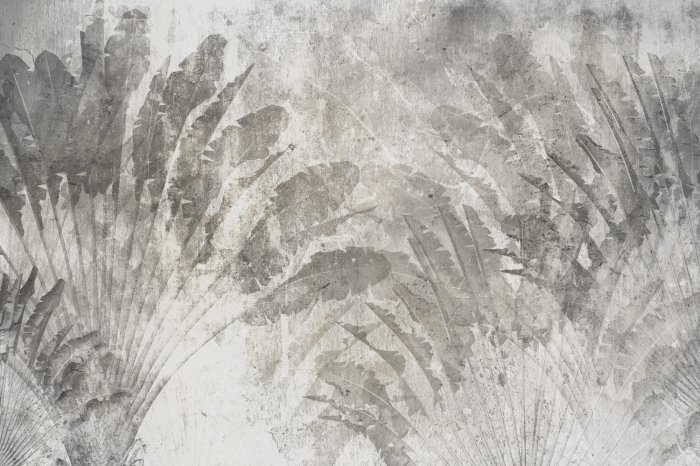 Fototapete Große graue tropische Blätter auf Beton