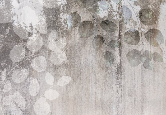 Fototapete Eukalyptuszweige mit Blättern auf Betongrund