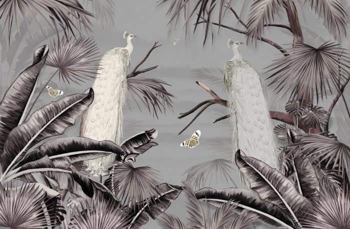 Fototapete Weiße Pfauen in den Tropen