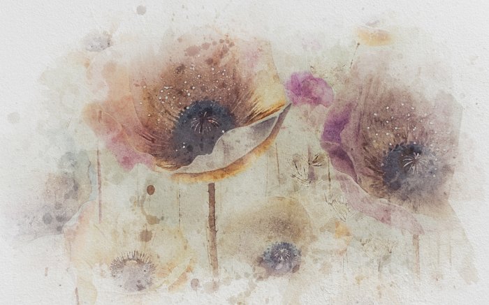 Fototapete Abstrakte Mohnblumen auf einem Aquarellhintergrund