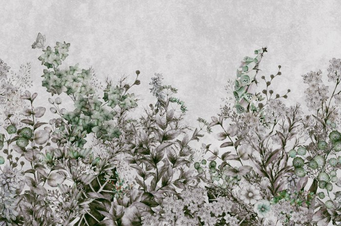 Fototapete Pflanzen auf grauem Betongrund