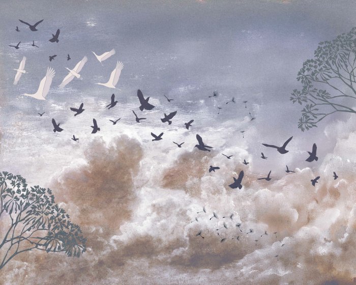 Fototapete Vögel und Löwenzahnsamen vor den Wolken