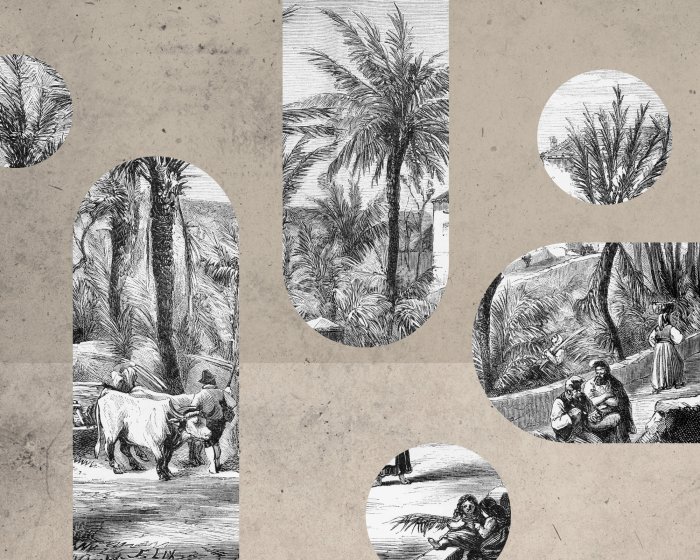 Fototapete Schwarz-weiße Landschaft mit geometrischen Formen im Vintage-Stil