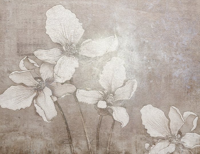 Fototapete Weiße 3D-Blumen auf strukturiertem Hintergrund