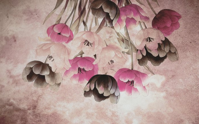 Fototapete Retro-Tulpen auf Beton