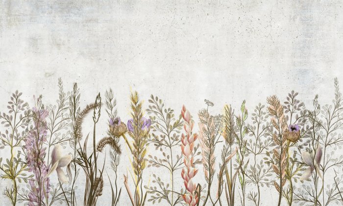 Fototapete Feldpflanzen und Blumen auf grauem Hintergrund