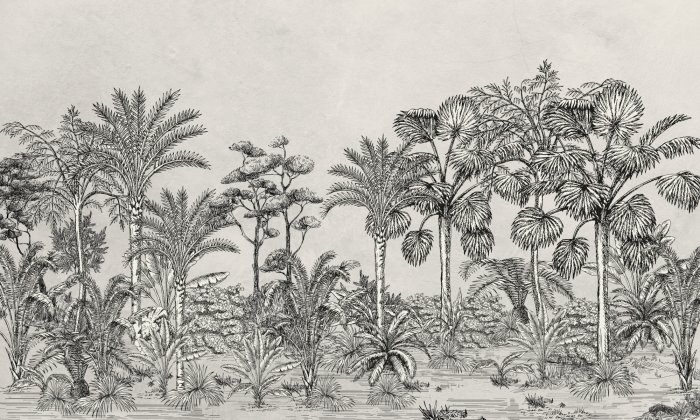 Fototapete Monochromatische Regenwaldlandschaft