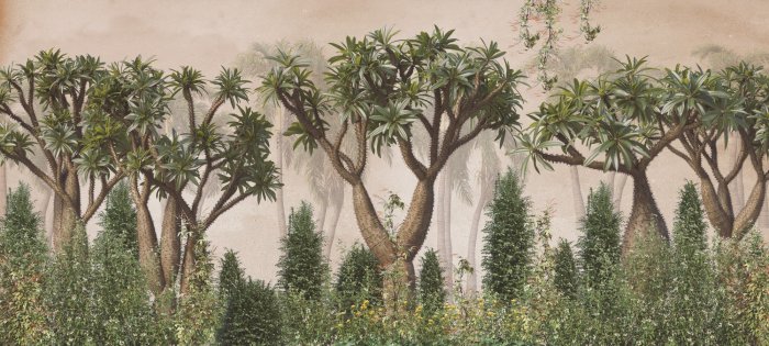 Fototapete Vintage Redwood-Wald