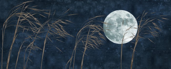 Fototapete Vollmond und Gras auf marineblauem Hintergrund