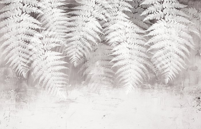 Fototapete Weiße Farnblätter auf Betongrund