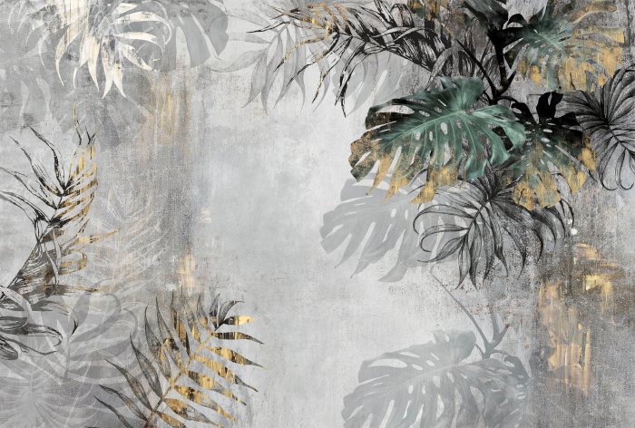 Fototapete Eine Pflanzenkomposition mit Monsteras auf Beton