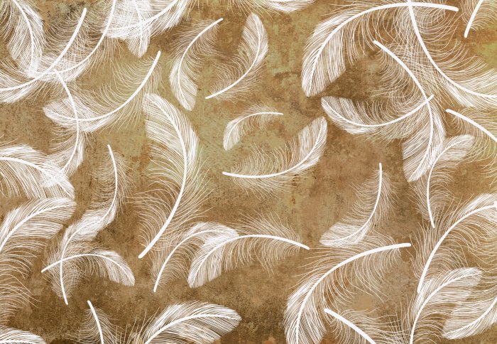 Fototapete Weiße Federn auf Betonzusammensetzung