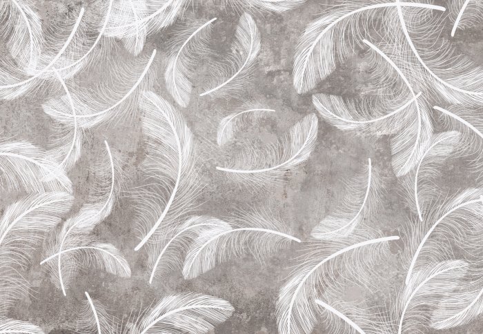 Fototapete Weiße Federn auf grauem Betongrund