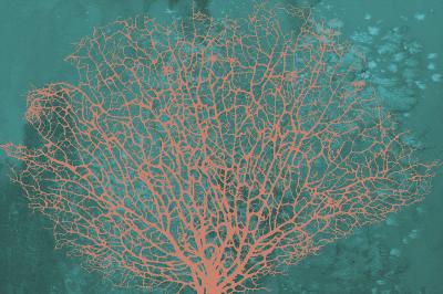 Poster Korallen auf türkisfarbenem Hintergrund