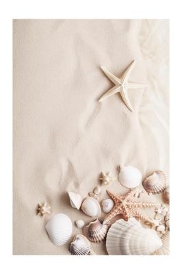 Poster Muscheln und Seesterne am sandigen Strand