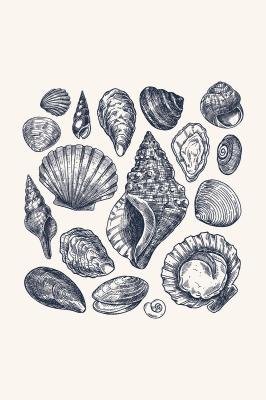 Poster Muscheln auf beigem Hintergrund