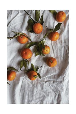 Poster Orangen mit grünen Blättern