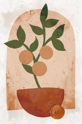 Poster Orangenbaum im Topf