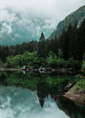 Bild Grüne Landschaft mit Bergsee