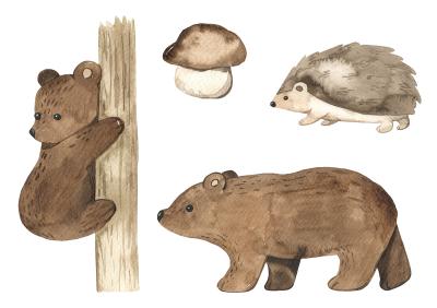 Sticker Aquarell-Waldtiere